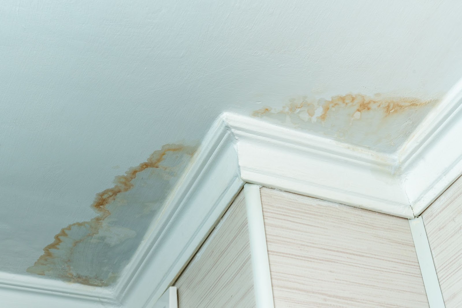 White ceiling with obvious water damage in otherwise nice looking home