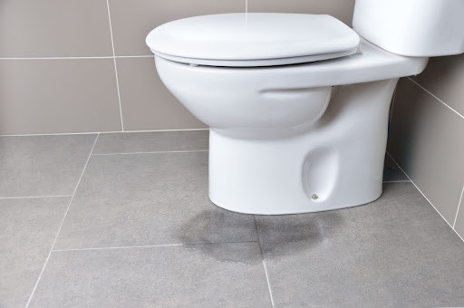 A toilet leaking from the base.